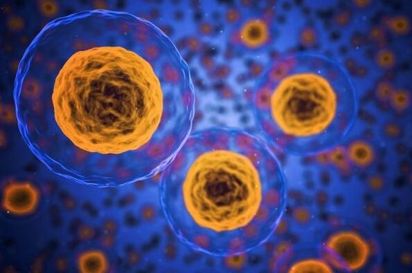 ¿Cómo ocurre el proceso de pérdida de peso