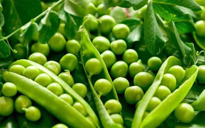 Puedes incluir guisantes en el menú para la pancreatitis.