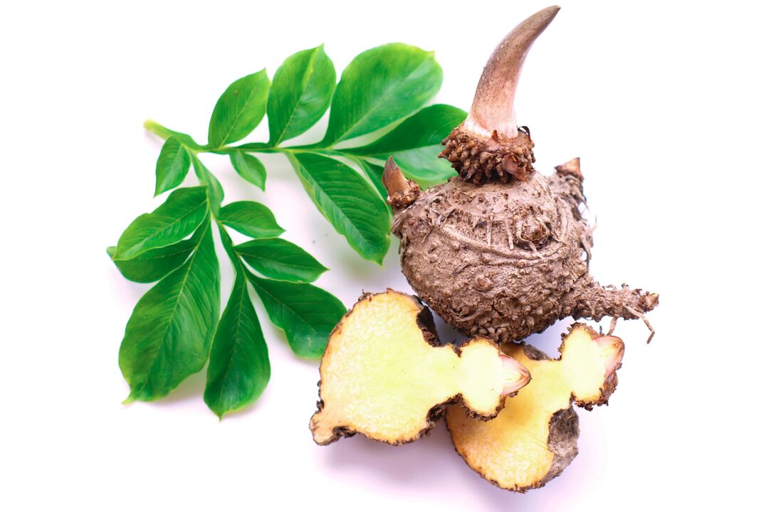 tubérculos de la planta de konjac - composición Reduslim
